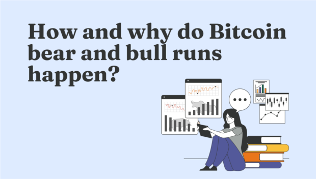 bitcoin bear and bull runs